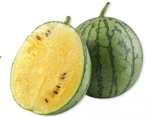 吃瓜需要板凳,打造舒适板凳，尽享清凉时光