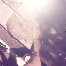 社会妹吃瓜,揭秘娱乐圈幕后真相