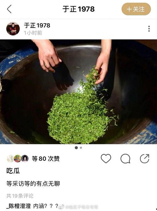 绿茶吃瓜5,揭秘绿茶界的神秘瓜界风云