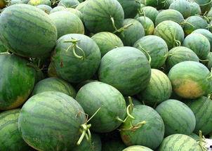 十五种吃瓜技巧,吃瓜达人必备技巧大盘点