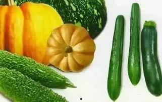 神迹吃瓜,揭秘神秘现象背后的真相与奥秘