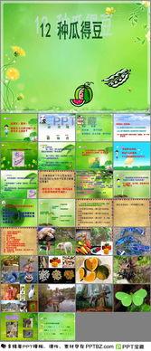 瓜瓜吃瓜的课文,一场关于瓜的趣味之旅