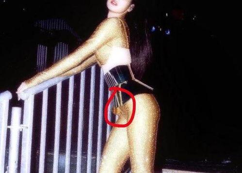 吃瓜的lisa,娱乐圈的“瓜王”传奇