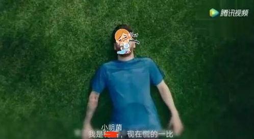 吃瓜吐槽王者,吃瓜吐槽，揭秘游戏背后的故事