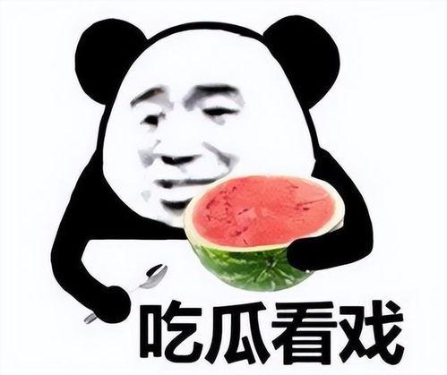 卖瓜吃瓜表情包